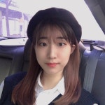 제 보타