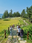 코사이어티 빌리지 제주