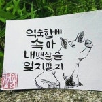속초엔게스트하우스 - 트리플 숙소