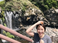 (주)시로애드 | 시로