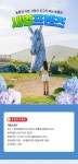 제주 새별 프렌즈 - 트리플 투어티켓