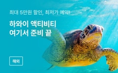 트리플 투어티켓 - 티켓부터 액티비티까지 실속있는 투어 상품