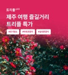제주 여행 즐길거리 특가 - 트리플 투어티켓