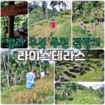 발리 차량+기사 렌트카 12인승 - 트리플 투어티켓 발리 차량+기사 렌트카 12인승  - 트리플 투어티켓