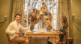 15 Dining Experiences So Unique, They Belong on Your 2025 Bucket List