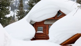 The wildest photos after 700 inches of the ‘Greatest Snow on Earth’ fall on Utah
