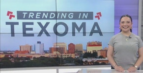 Trending in Texoma — Woolly mice to a Cheeto auctioned off for thousands