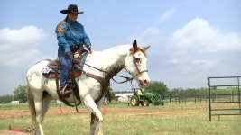 Blind horse returns to competition after neglect and starvation