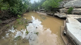 Jacob’s Well closed due to flooding after seeing ‘the most rain in years’