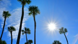 Best Air Conditioner Systems for Florida: The Ultimate Guide