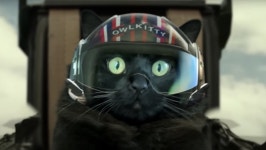TOP GUN: MAVERICK Gets Remade with a Cat in the Pilot’s Seat