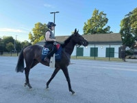 Nashville Derby Hopeful Wimbledon Hawkeye First American Runner For Trainer James Owen - Yahoo Sports Nashville Derby Hopeful... 