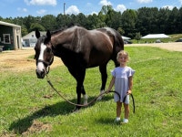 Wondrwherecraigis? Meet Brittany Russell’s New ‘Trainer Taxi’ - Yahoo Sports Wondrwherecraigis? Meet Brittany Russell’s... 