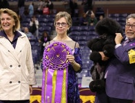 And the Winner of the 2024 Westminster Dog Show Is…