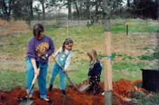 Plant a tree and do it right: Tips for getting the job done on Arbor Day