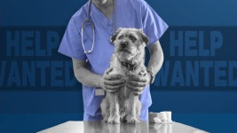 The U.S. veterinarian shortage crisis