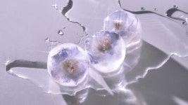 The Nugget Ice Trend Isn’t Going Anywhere—and This Fancy Ice Maker Is a Game-Changer