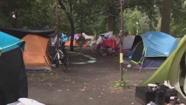 Delay of Gompers Park homeless encampment removal prompts little league to move games from park