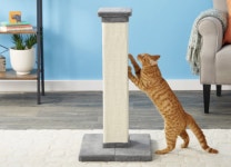 The Best Cat Scratching Post so Your Little Monster Will Stop Clawing at Your Legs