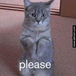 Pleasing GIFs - Find & Share on GIPHY
