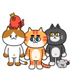 Cat Fun Sticker by 궁디팡팡 캣페스타 for iOS & Android | GIPHY