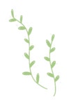 Vine Stickers - Find & Share on GIPHY