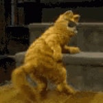 Sexy Cat GIF | Tenor