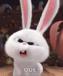 Bunny What GIF - Bunny What Emote - GIF 탐색 및 공유