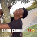 Chill Out GIF - Chill Out Calm - GIF 탐색 및 공유