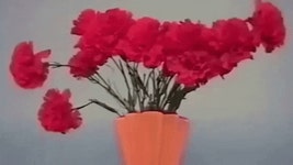 Withering Flowers Mae Muller GIF - Withering Flowers Mae Muller Flowers - GIF 탐색 및 공유
