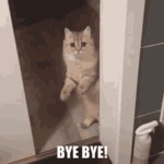 Goodbye Bye Bye GIF - Goodbye Bye Bye Cat Bye - GIF 탐색 및 공유