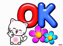 Safa Roola GIF - Safa Roola Ok - GIF 탐색 및 공유