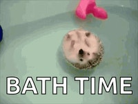 Bath Time GIF | Tenor