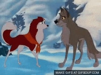 Balto Dogs GIF - Balto Dogs Scarf - GIF 탐색 및 공유