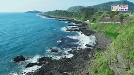 제주도 GIF - Jeju Island Korea South Korea - GIF 탐색 및 공유