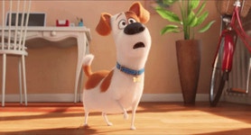 Bh187 Secret Life Of Pets GIF - Bh187 Secret Life Of Pets Dog - GIF 탐색 및 공유