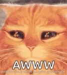 Puss In Boots Eyes GIF - Puss In Boots Eyes Beg - GIF 탐색 및 공유
