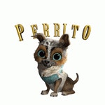 Perrito Perro Sticker - Perrito Perro Puss In Boots The Last Wish - GIF 탐색 및 공유