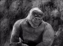 King Kong Son Of Kong GIF - King Kong Son Of Kong Kiko - GIF 탐색 및 공유