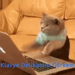 Görkem Görküm GIF - Görkem Görküm Klavyeci Görkem - GIF 탐색 및 공유