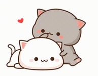 Mochi Pet GIF - Mochi Pet Mochi cat - GIF 탐색 및 공유