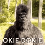 Ok Okie GIF - Ok Okie Dokie - GIF 탐색 및 공유