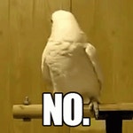 No Bird GIF - No Bird Nope - GIF 탐색 및 공유