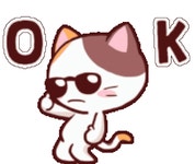 Ok Cat Sticker - Ok Cat - GIF 탐색 및 공유