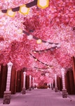 Tress Nature GIF - Tress Nature Cherry Blossom - GIF 탐색 및 공유