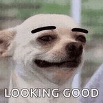 Good Morning GIF - Good Morning Hubba - GIF 탐색 및 공유