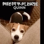 Happy Pretty Please GIF - Happy Pretty Please Wagging Tail - GIF 탐색 및 공유