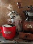 Coffee Hedgehog GIF - Coffee Hedgehog - GIF 탐색 및 공유