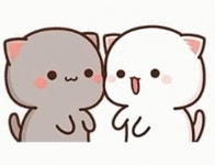 Mochi Cat Mochi GIF - Mochi Cat Mochi Mochi Mochi Peach Cat Gif - GIF 탐색 및 공유