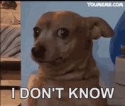 I Dont Know Dontknow GIF - I Dont Know Dontknow Dog - GIF 탐색 및 공유